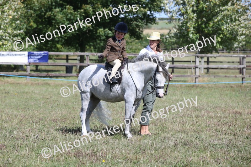 20250831-2655 - Class 17 - Lead Rein Pony