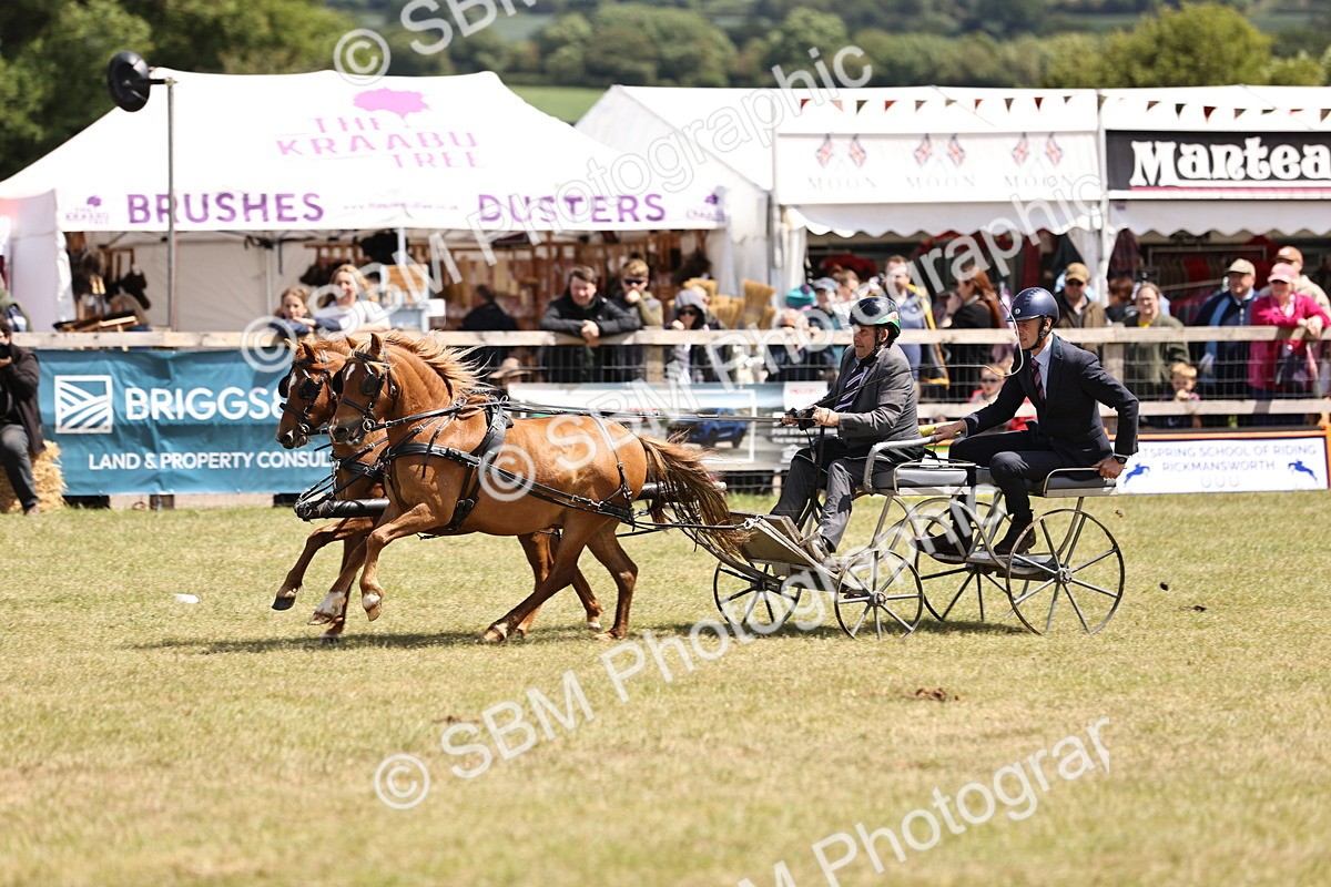 SBM_15174 - Class 90 - Scurry 122cm and Under