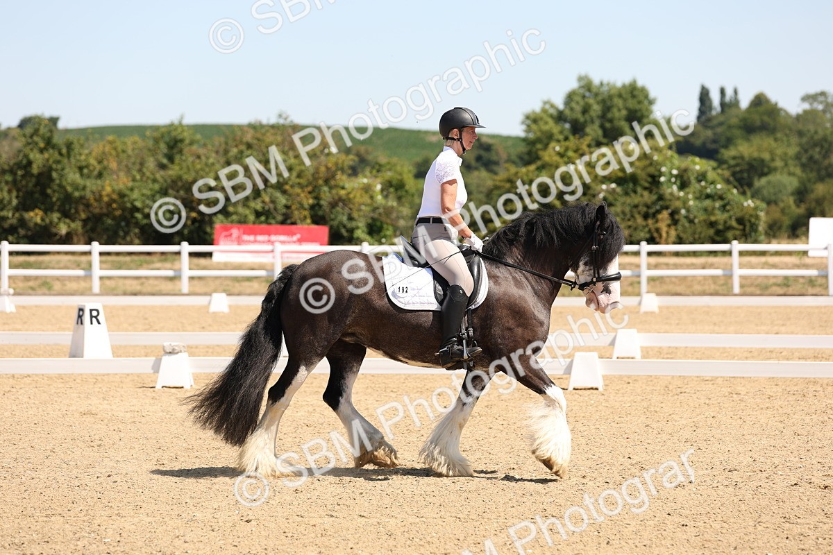 SBM_001195 - Intro 2