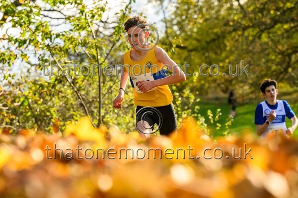 NatRel25-914591 - Young Male Set Two