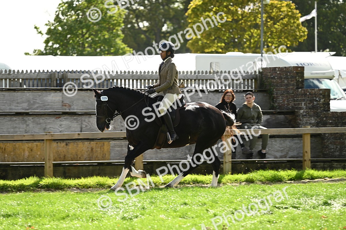 SBM_01932 - S2 - TSR Ridden Horse Showing