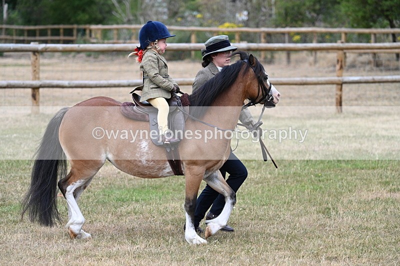 WJ7_9641 - Class 1 Lead Rein Pony