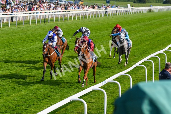 160623-Race 7-Diamond Bay-0769 - Race 7 5.21pm Constant Security Handicap