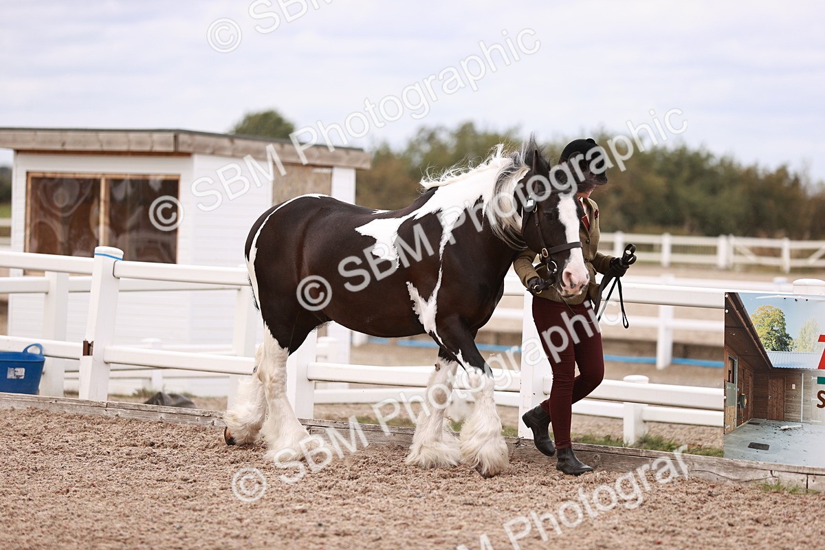 SBM_18471 - Class 420 - Ridden M&M