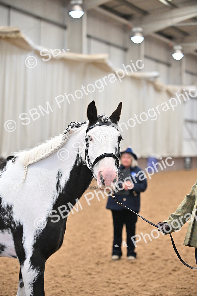 SBM_000025 - Class 1 - In Hand Cob