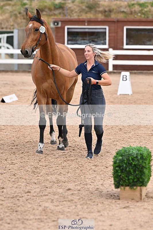 250716-143408-01213 - Trot Up 2.30 to 3.30