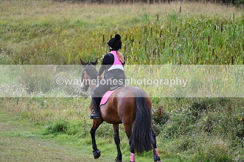 WJ7_6084 - Time 11:50 to 12:09