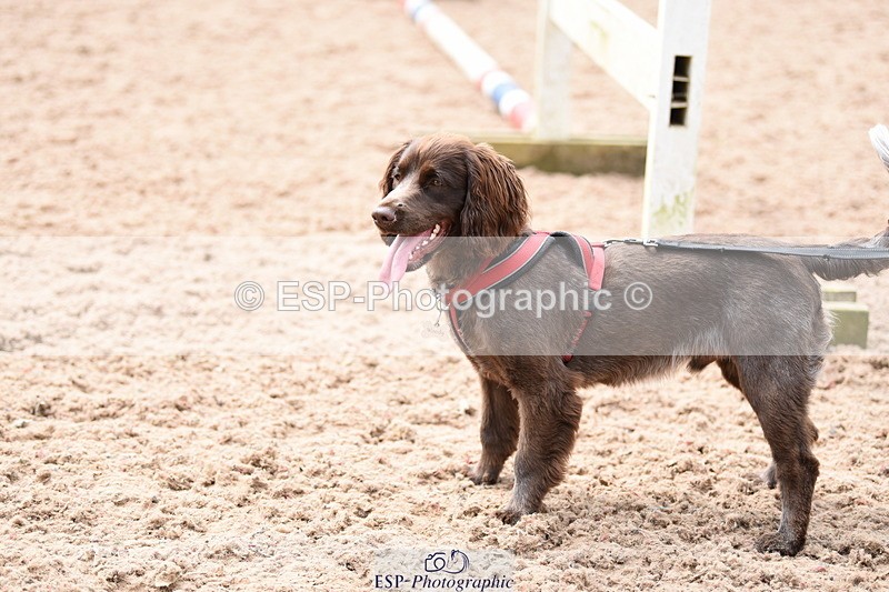 240518A-113716-00790 - Cls 1 Cutest Puppy