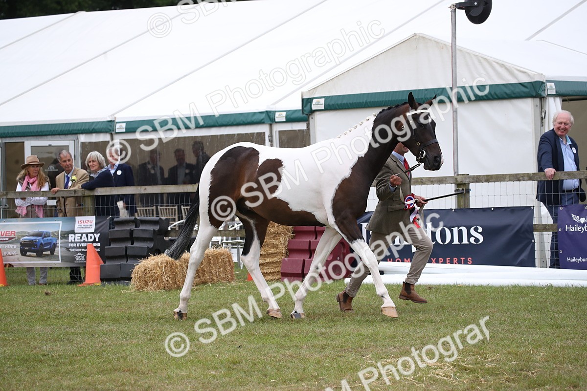 SBM_09807 - Ch 50 - Price Family Supreme In Hand