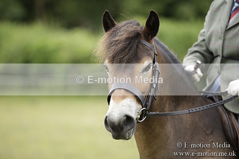 BVR160717-1311 - Ring 1 BVRC Show 16/07/17