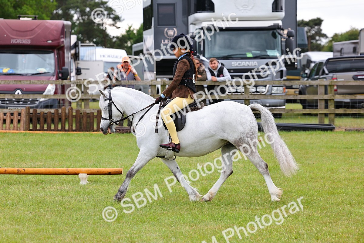 SBM_08700 - Class 42-43 - LIHS BSPS Heritage Working Sports Pony