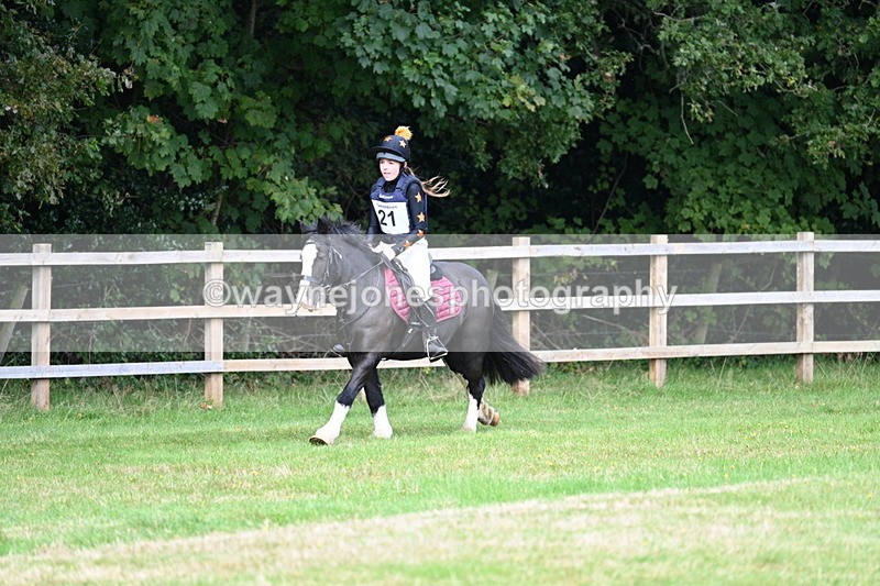 WJ7_8001 - 40cm Time 10:49 to 11:18