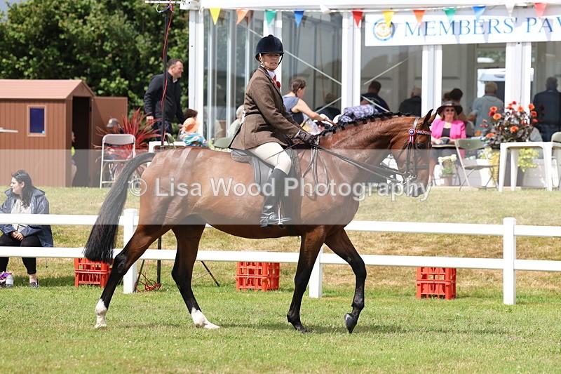 3E7A0777 - Class 8: Open Riding Horse/Hack