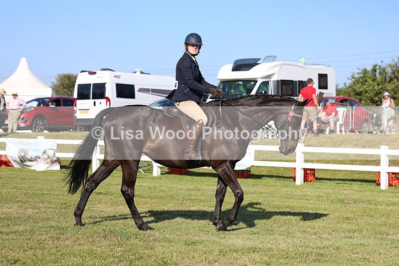 3E7A5221 - Class 2: Rising Star Large Hack/Riding Horse