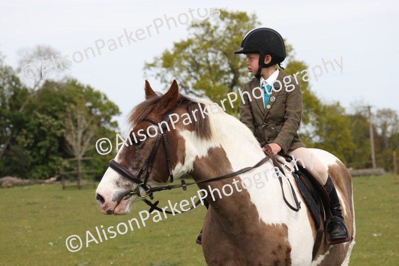 20260426-4389 - Class 34 - Best Riding Horse Over 14.2hh