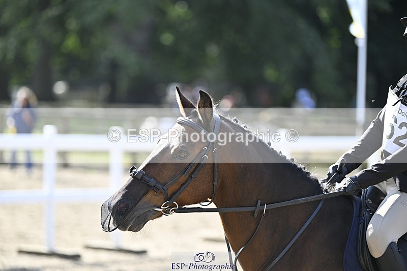 240823X-100509-15039 - 60cm R2 9.30 to 11.00