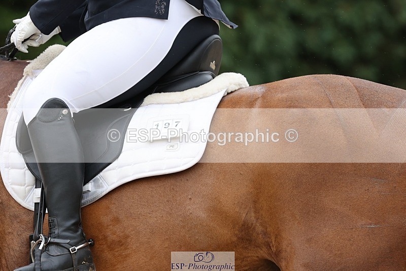 240810-153027-04046 - 197-Katherine.Carne-Calcourt.Romancier