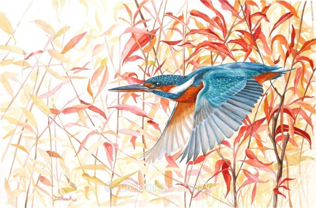 Fisher King - Birds