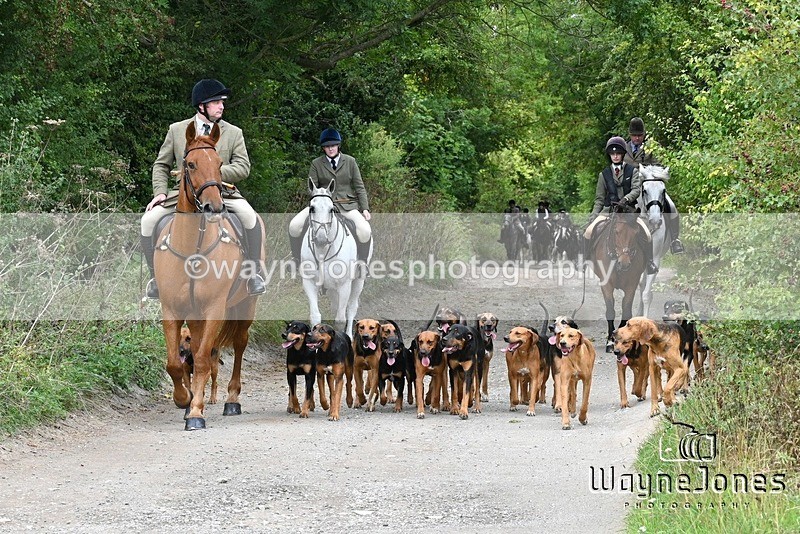 WJ7_0800 - Berks & Bucks Hound Exercise Blewbury 13-09-26