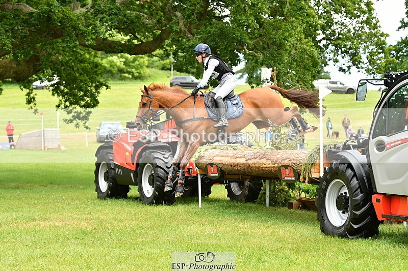 250525A-125129-16725 - D-453-Daisy.Berkeley-DIESE.DU.FIGUIER