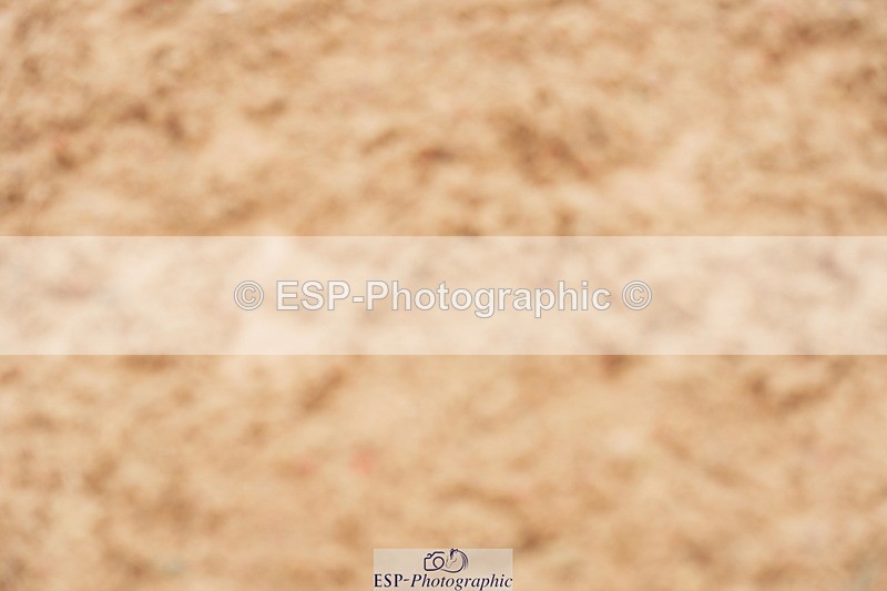 240524A-124100-03624 - Cls 15 Foxhunter