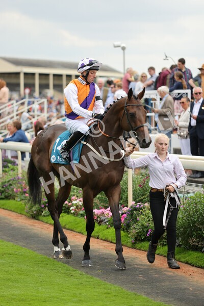 yr04092022r2-16 - Race 2 2.20pm John and Judith Marshall Memorial Stakes