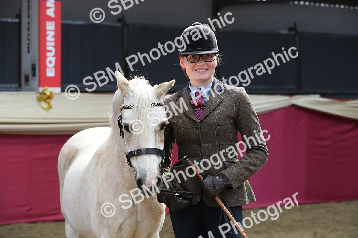 SBM_04444 - Class 7R Regional - IH Diamond