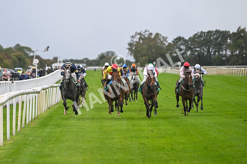 150925-Race 2-Rum Therapy-2359 - Race 2