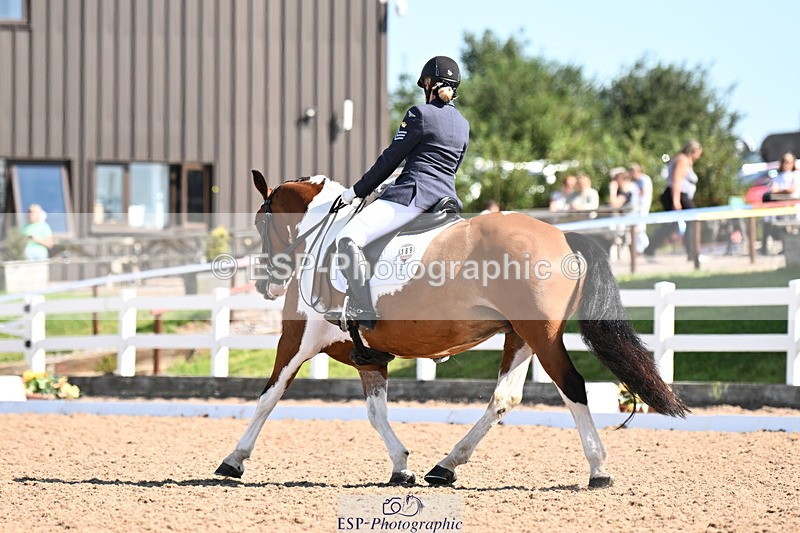 240816A-110647-03996 - 189-Mel.Day-Dolderwydd.lucky.Maisie