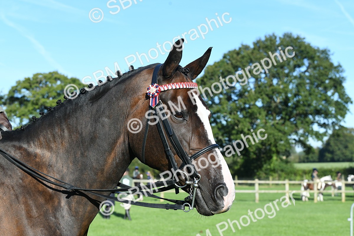 SBM_34052 - S16 - Condition & Turnout - Ridden