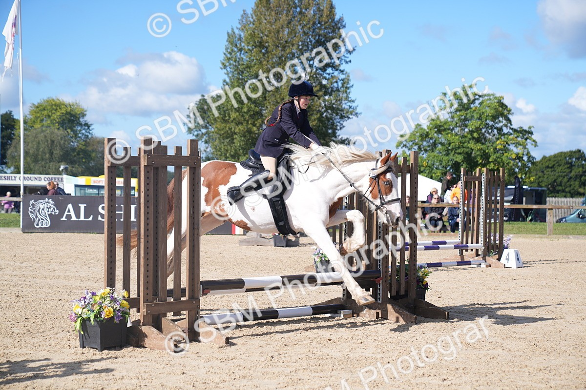 SBM_02401 - J54 Clear Round 45cm