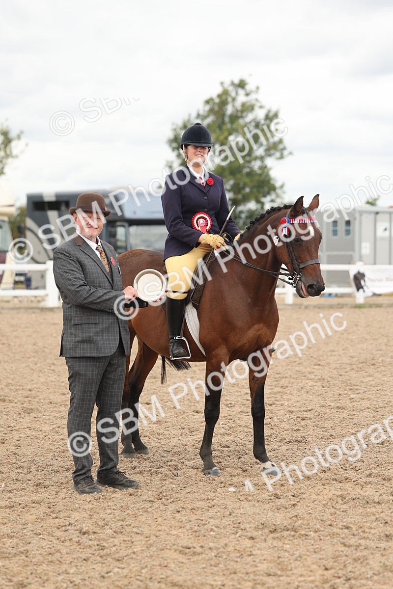 SBM_16062 - Class 311 - Ridden Show pony-Show hunter Pony