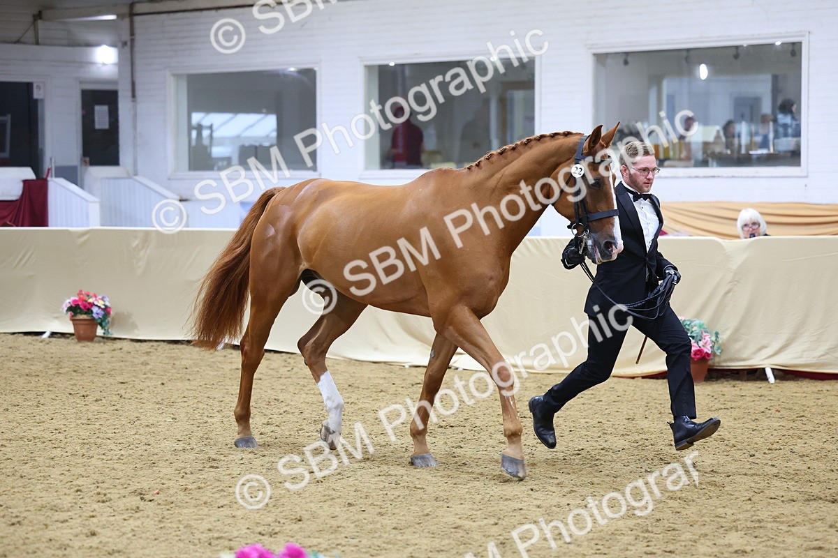 SBM_20938 - Class 902 - Supreme Final IH Veteran