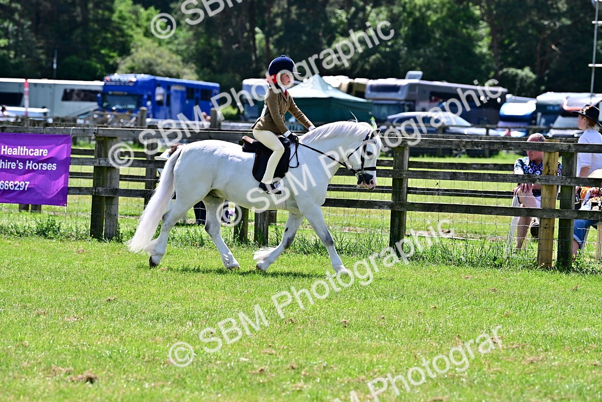 SBM_06015 - Class 59-60 - TSR M&M  Lear Rein and First Ridden Amateur of the year