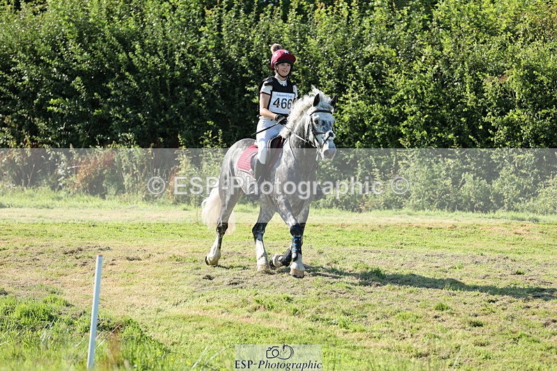 240811A-171711-06980 - 466-