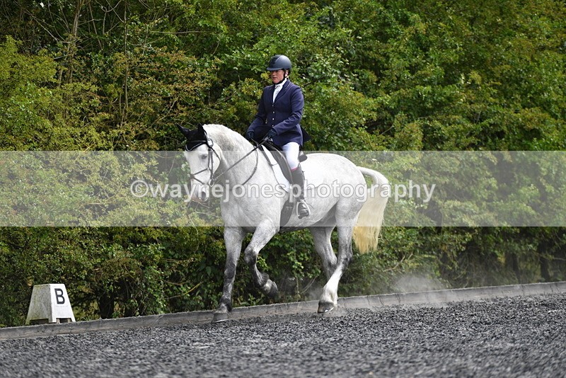 WJ5_2008 - Time 15:05 to 15:30