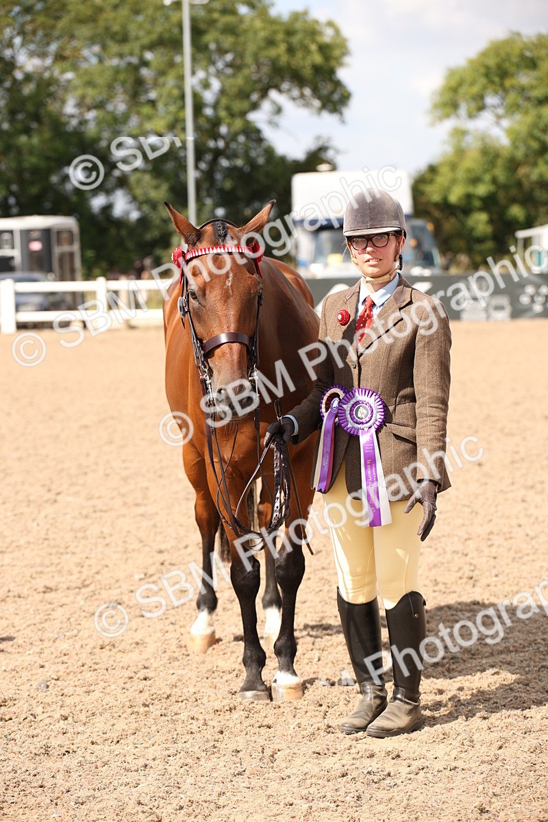 SBM_03457 - Class 18 Handsomest Gelding (IH or Ridden)