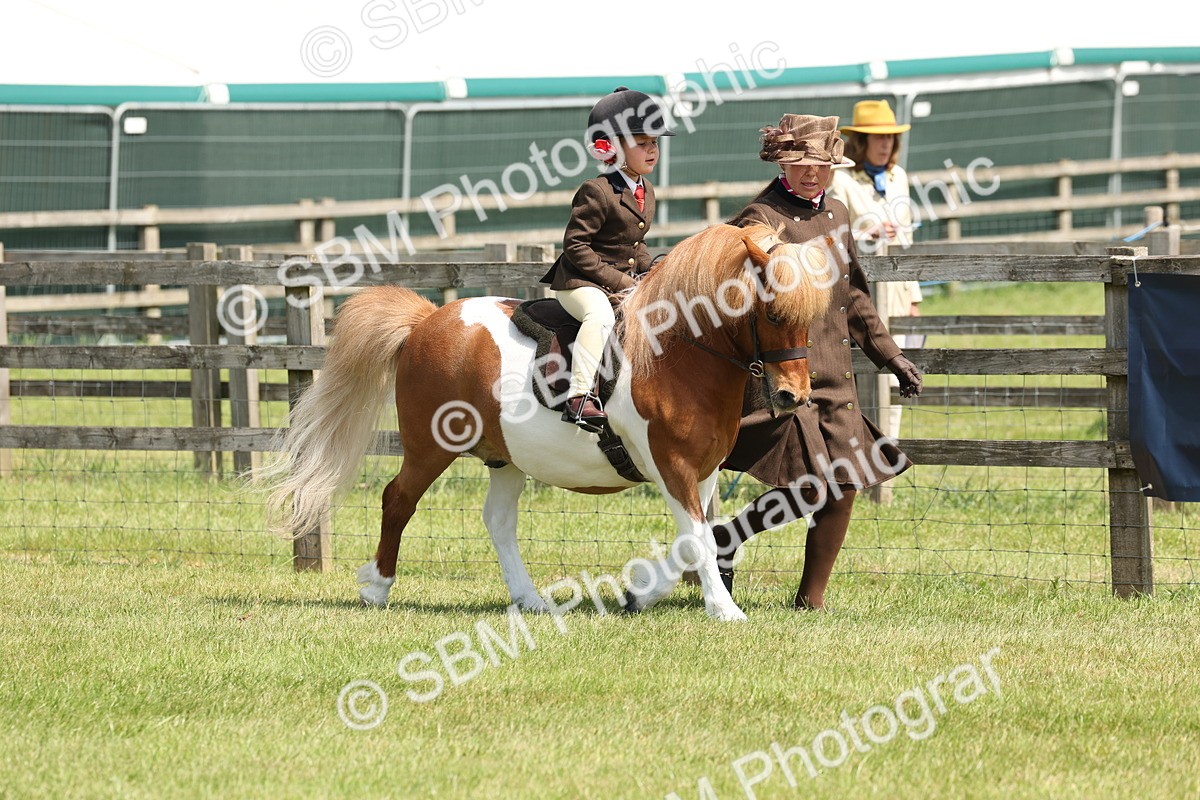 SBM_05216 - Class 24-25 - Mountain & Moorland In Hand Lead Rein and First Ridden
