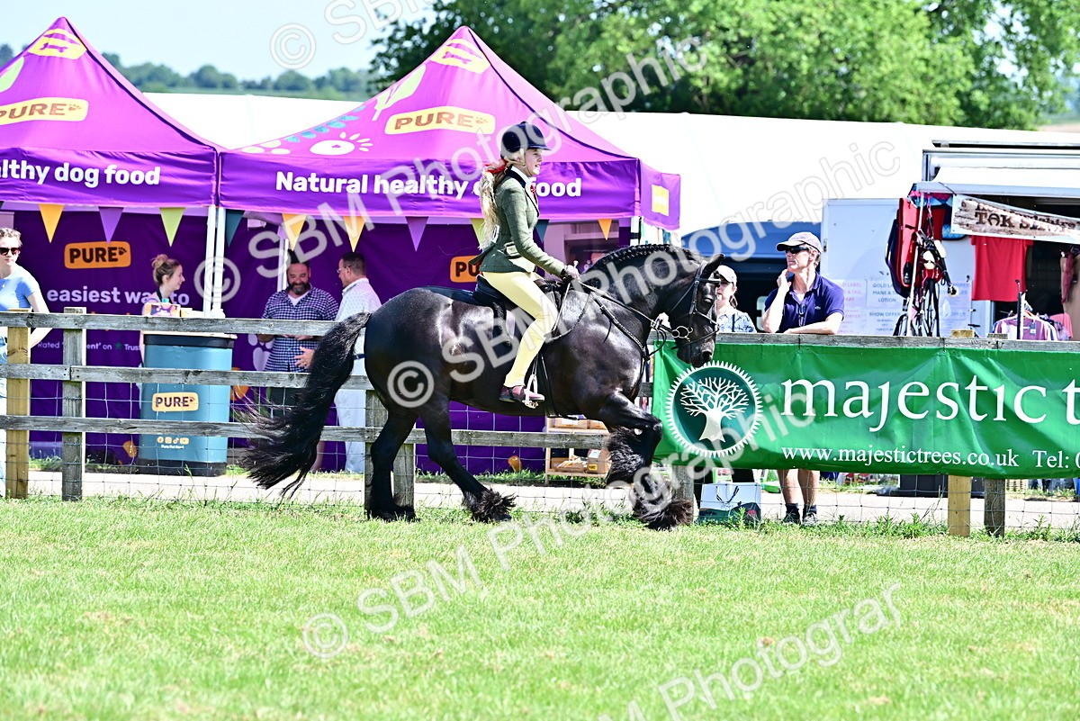 SBM_13995 - Class 95-97 - BSPS LHS Performance Ponies