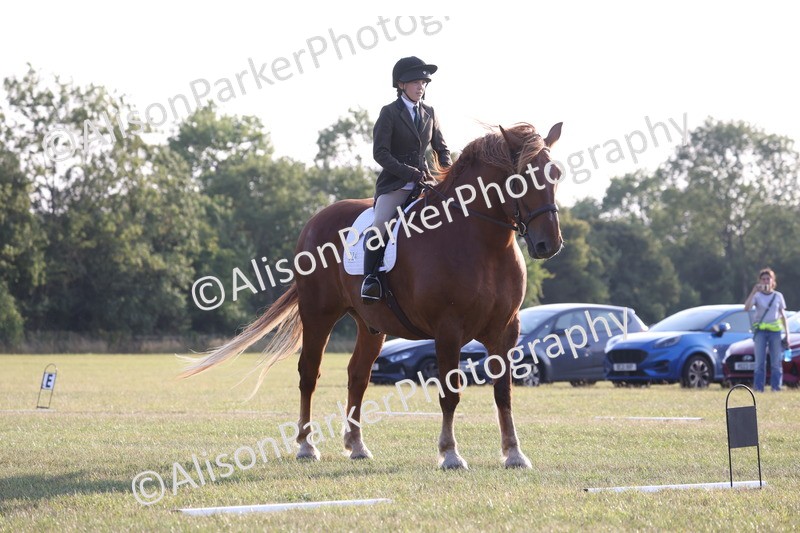 20250731-0794 - Class 1 - Intro 4