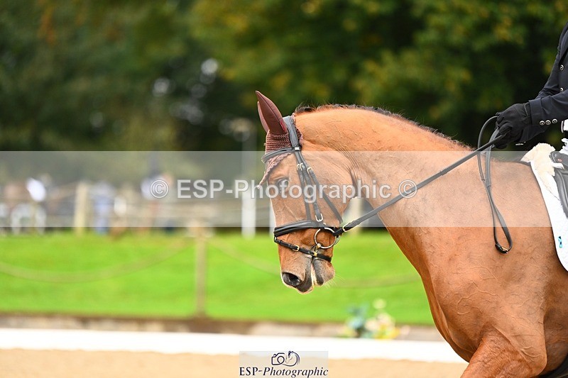 231021-120228-15049 - 345-THE.PREACHER.MAN-David.Doel-DR