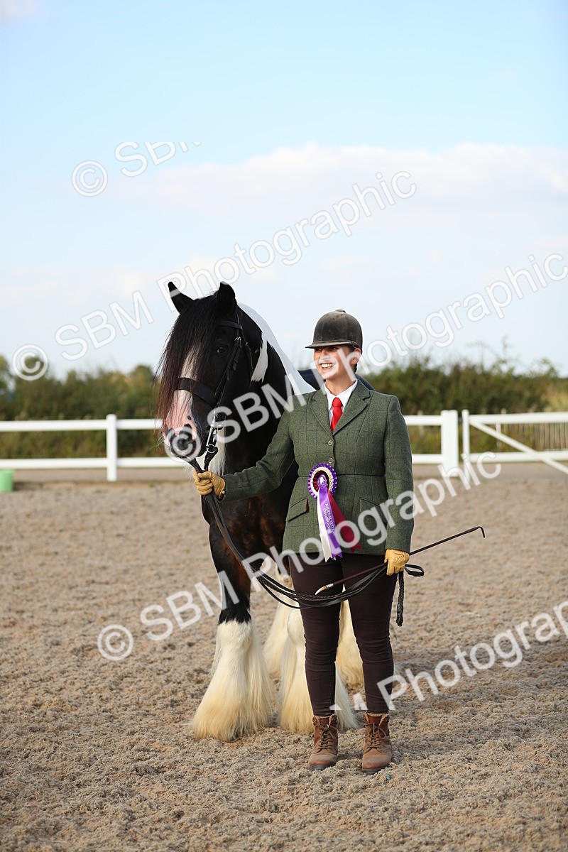 SBM_08704 - Class 28 - IH Veteran Horse