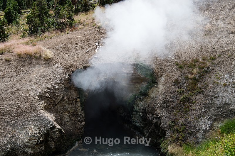  - Yellowstone