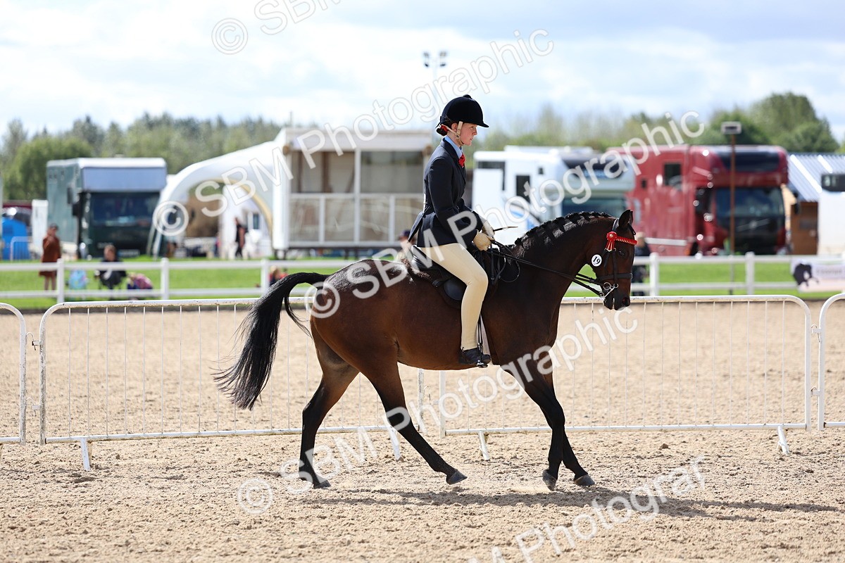SBM_13270 - Class 311 - Ridden Show Pony Show Hunter Pony