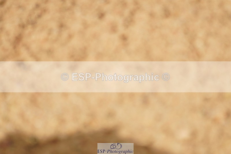 240317A-150644-07490 - Cls 28 Snr Newcomers