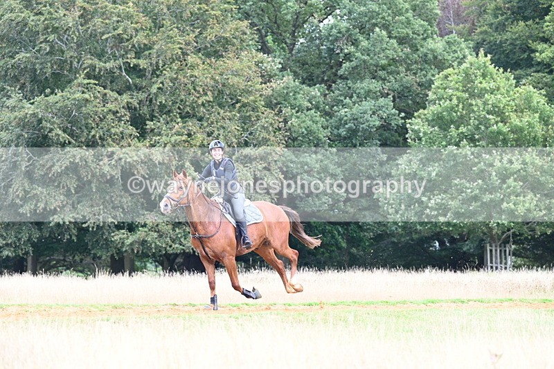 DSC_7794 - Time at Statue 13:16 to 13:52