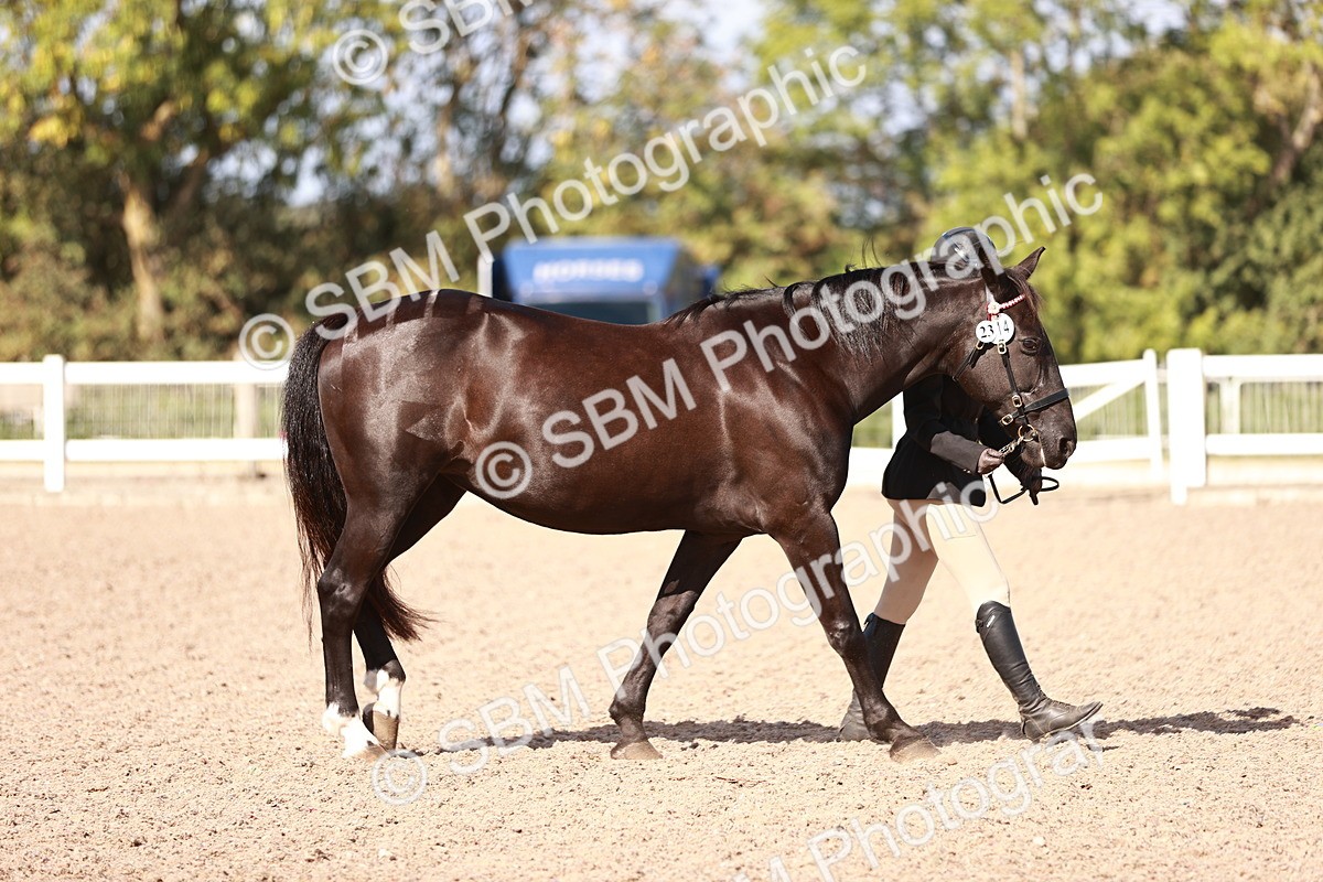 SBM_22868 - Class 706 - IH Veteran