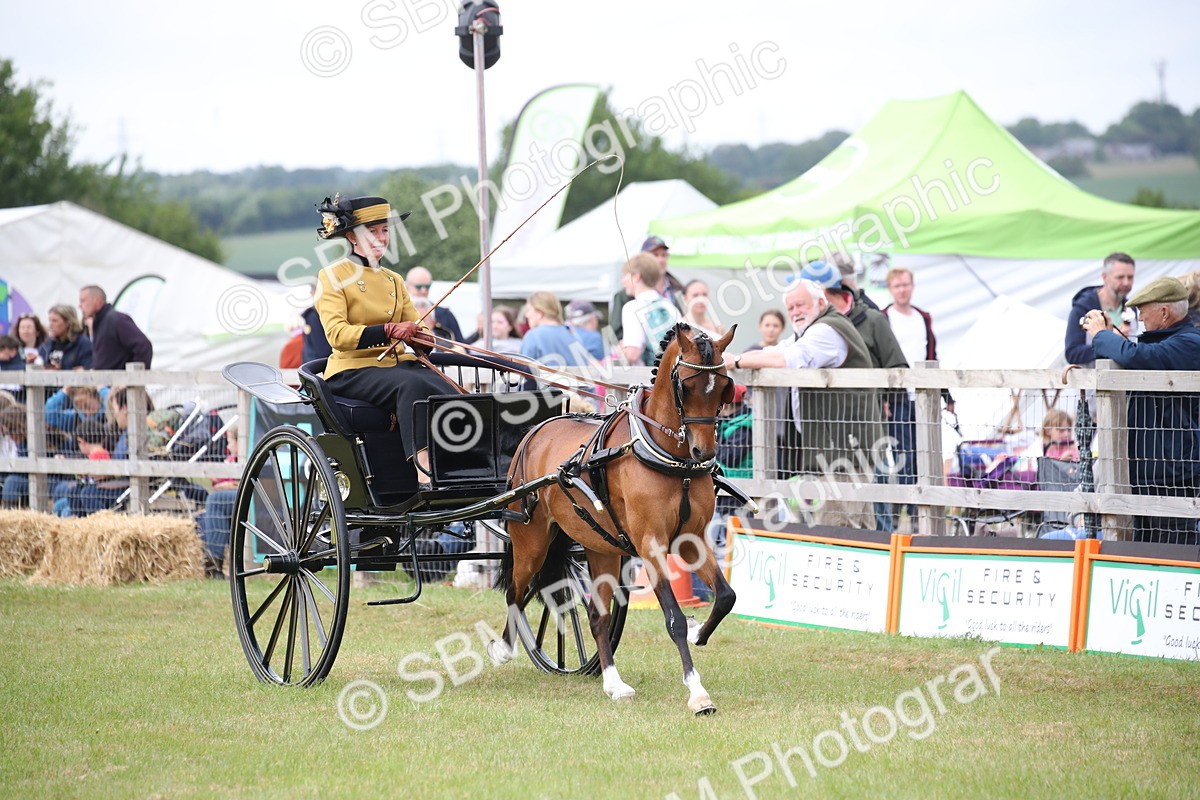 SBM_05877 - Class 12-15 - HOYS Private Driving