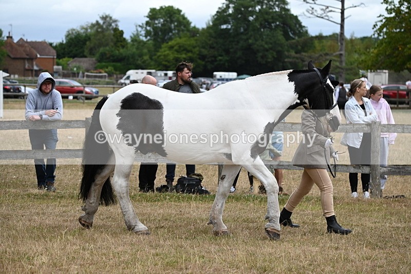 WJ6_8365 - Class 10 Coloured in Hand