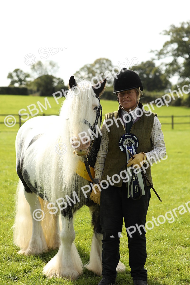SBM_66364 - In Hand Pony & Youngstock Supreme Championship